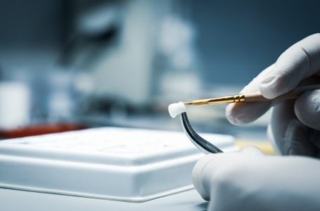 Dental team member crafting a metal free dental crown